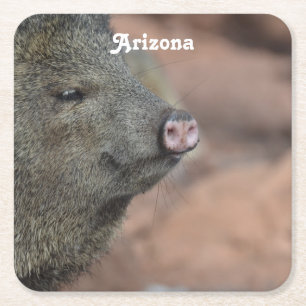 Posavasos Cuadrado De Papel Javelina