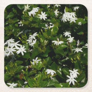 Posavasos Cuadrado De Papel Jazmín Flores Tropicales Florales Botánicas