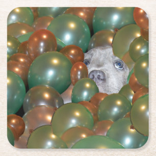 Posavasos Cuadrado De Papel Joven Staffy Escondiéndose En Globos, Astillas De 