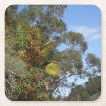Juguetes a lo largo del sendero Arroyo Seco