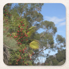 Posavasos Cuadrado De Papel Juguetes a lo largo del sendero Arroyo Seco