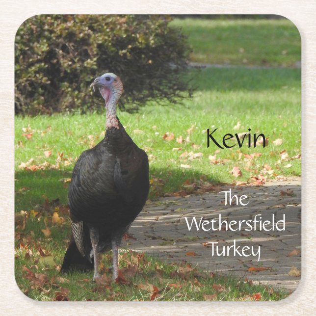 Posavasos Cuadrado De Papel Kevin The Turkey - Old Wethersfield , CT (Anverso)