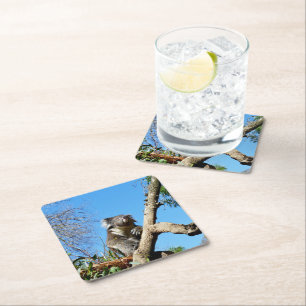 Posavasos Cuadrado De Papel Koala Tiene Tiempo Para Reflexionar Sobre La Vida,