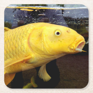 Posavasos Cuadrado De Papel Koi Carp Paper Coaster