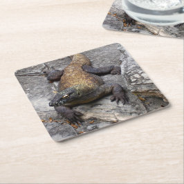 Posavasos Cuadrado De Papel Komodo Dragon Stone Perch