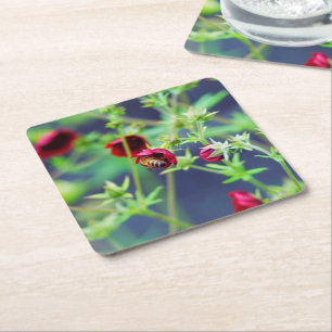 Posavasos Cuadrado De Papel La abeja con la flor roja