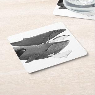 Posavasos Cuadrado De Papel La Ballena Ilustracion De Ballenas Blanco