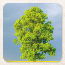 La belleza en la tormenta