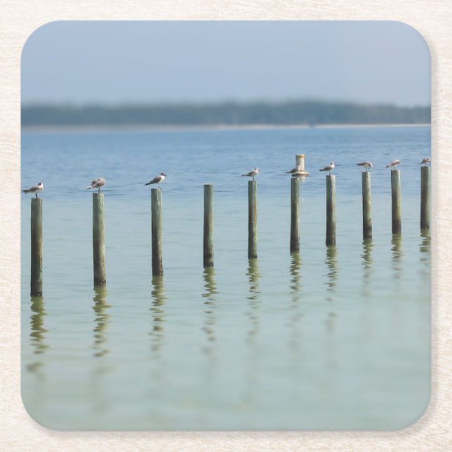 Posavasos Cuadrado De Papel "La Línea Gossip" - Gaviotas costeras - Pascua (Anverso)