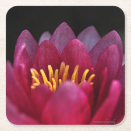 Posavasos Cuadrado De Papel La Lirio del Agua