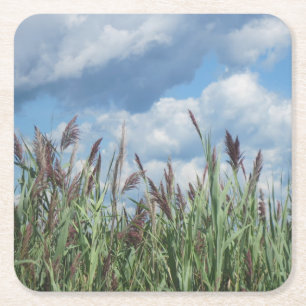 Posavasos Cuadrado De Papel La montaña rusa del Fiesta Marsh