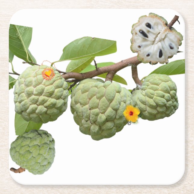 Posavasos Cuadrado De Papel La pomme-cannelle - Verre à shot (Anverso)