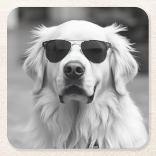 Posavasos Cuadrado De Papel Labrador Cool con Gafas de Sol – Diseño Divertido 