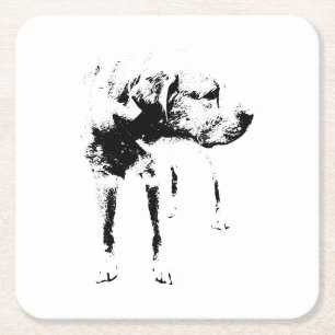 Posavasos Cuadrado De Papel Labrador reflexivo - Encanto silencioso