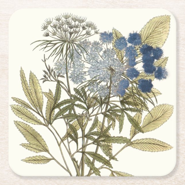 Posavasos Cuadrado De Papel Lacy Leaves - Flores y vegetación (Anverso)