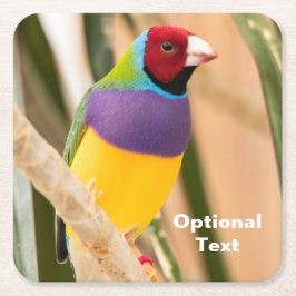 Posavasos Cuadrado De Papel Lady Gouldian Finch