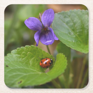 Posavasos Cuadrado De Papel Ladybug sobre las dulces flores violetas