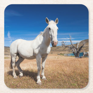 Posavasos Cuadrado De Papel Laguna Azul, paisaje con caballos