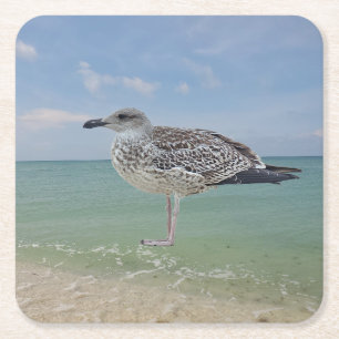 Posavasos Cuadrado De Papel Las gaviotas