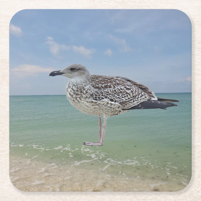 Posavasos Cuadrado De Papel Las gaviotas (Anverso)