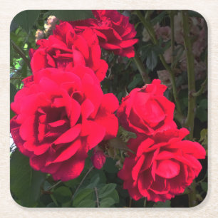 Posavasos Cuadrado De Papel Las rosas rojas florecen