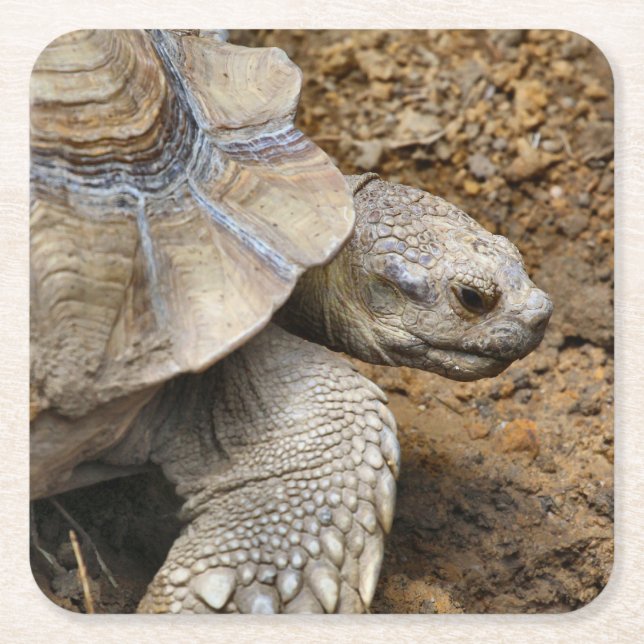 Posavasos Cuadrado De Papel Lento (Anverso)