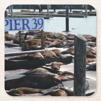 Posavasos Cuadrado De Papel Leones marinos Pier 39