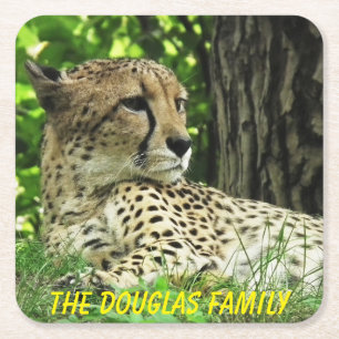 Posavasos Cuadrado De Papel Leopard de primer plano