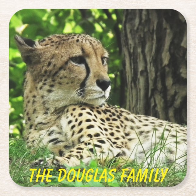 Posavasos Cuadrado De Papel Leopard de primer plano (Anverso)