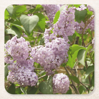 Posavasos Cuadrado De Papel Lilac Bush hermosas flores de primavera morada