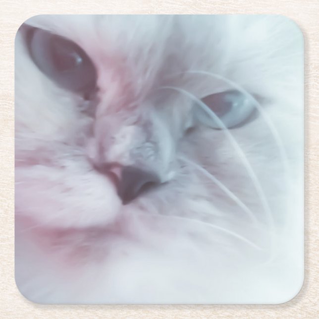 Posavasos Cuadrado De Papel Lilly (Anverso)