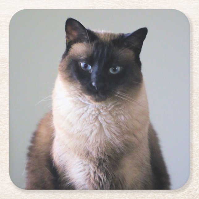 Posavasos Cuadrado De Papel Lily (Anverso)