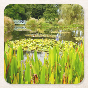 Posavasos Cuadrado De Papel Lily Pond Paper Coaster