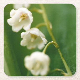 Posavasos Cuadrado De Papel Lirio blanco del valle (Convallaria majalis)