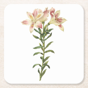 Posavasos Cuadrado De Papel Lirio peruano (Alstromeria pelegrina) de Redouté