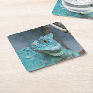 Posavasos Cuadrado De Papel Lizard azul