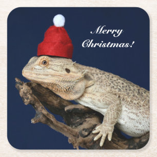 Posavasos Cuadrado De Papel Lizard Dragon con barba personalizada - Santa Hat