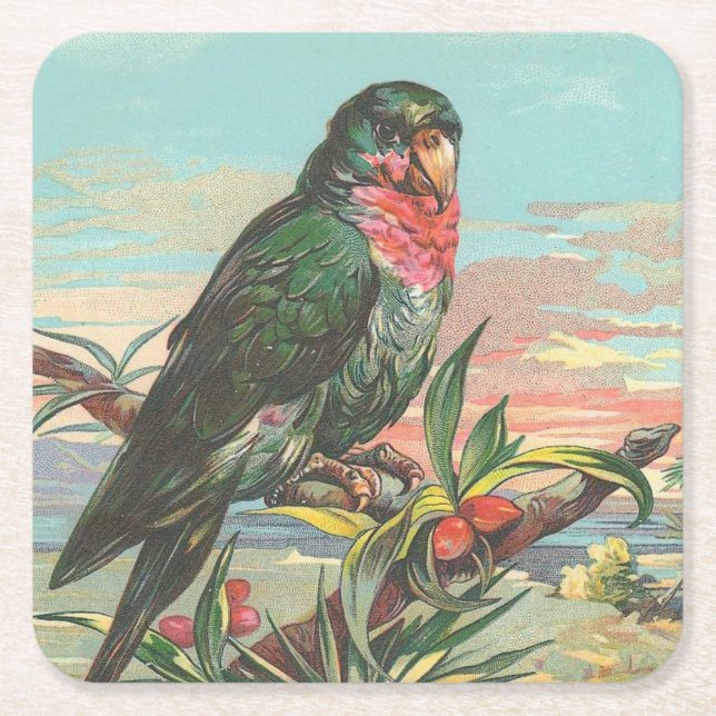 Posavasos Cuadrado De Papel Loro (Anverso)