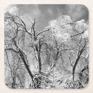 Posavasos Cuadrado De Papel los árboles llevan invierno