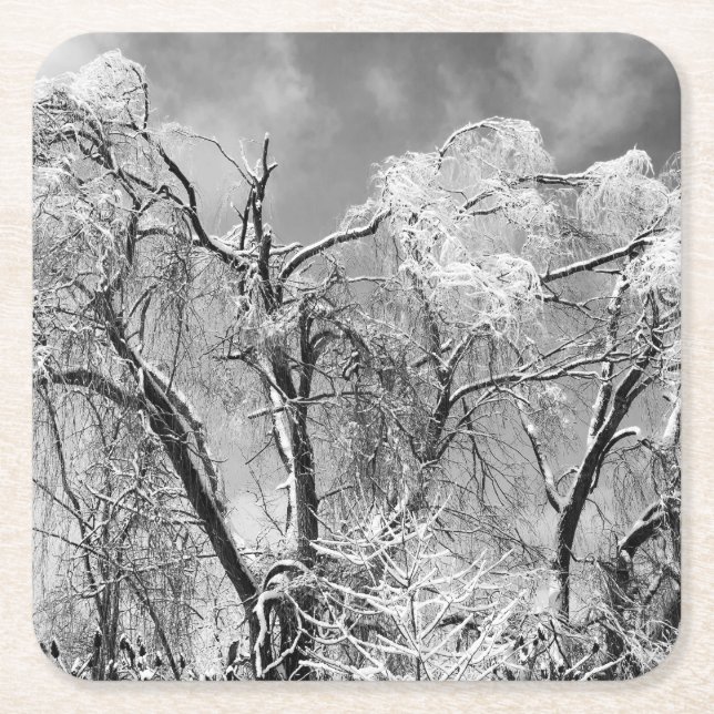 Posavasos Cuadrado De Papel los árboles llevan invierno (Anverso)