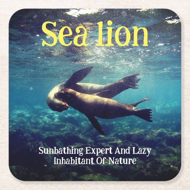 Posavasos Cuadrado De Papel Los leones marinos bajo el agua (Anverso)