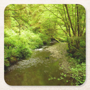 Posavasos Cuadrado De Papel Lost Man Creek I en el Parque Nacional Redwood