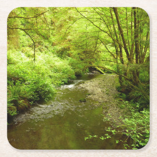Posavasos Cuadrado De Papel Lost Man Creek I en el Parque Nacional Redwood