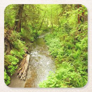 Posavasos Cuadrado De Papel Lost Man Creek II en el Parque Nacional Redwood
