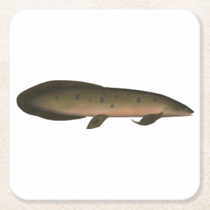 Posavasos Cuadrado De Papel Lungfish australiano