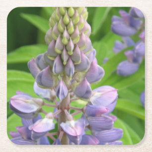 Posavasos Cuadrado De Papel lupine-3