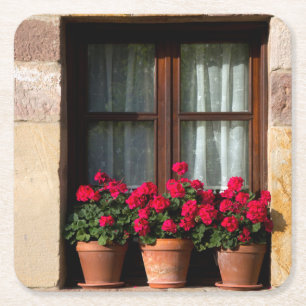 Posavasos Cuadrado De Papel Macetas de ventana en pueblo