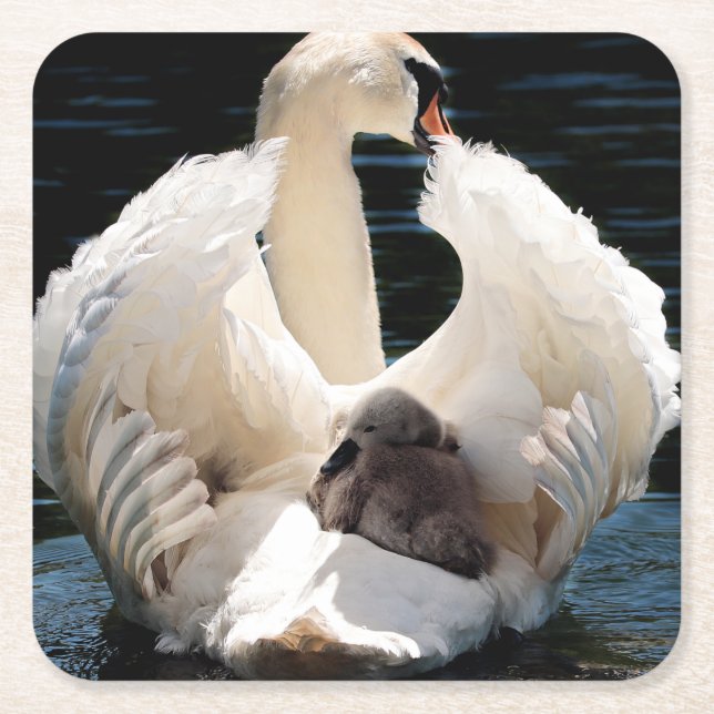 Posavasos Cuadrado De Papel Madre Cisne con ciñecas (cisnes) (Anverso)