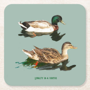 Posavasos Cuadrado De Papel Mallas de los Ducks