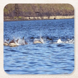 Posavasos Cuadrado De Papel Manada de delfines salvajes chapoteando a través d